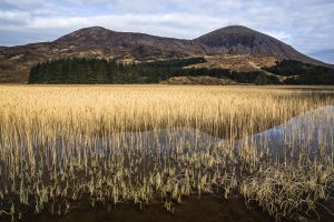 Loch Cill Chriosd